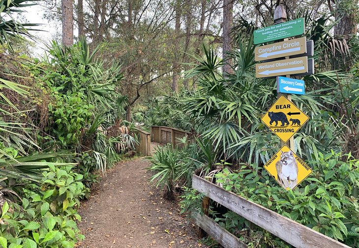 A path winds its way through Busch Wildlife Sanctuary