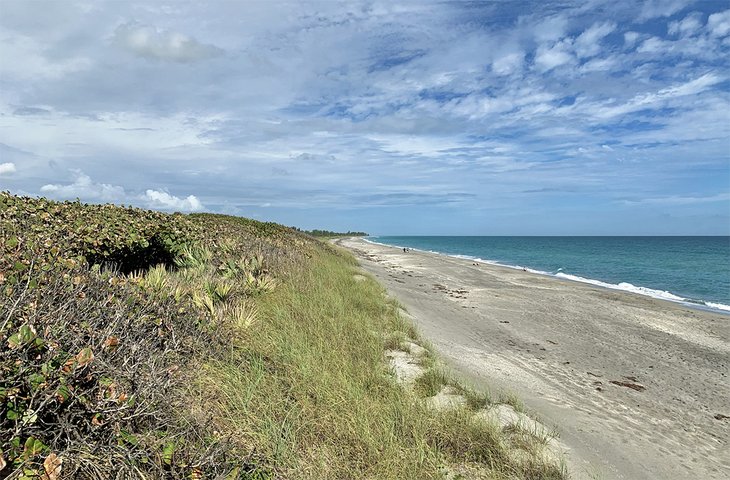 The sandy beach at Blowing Rocks Preserve