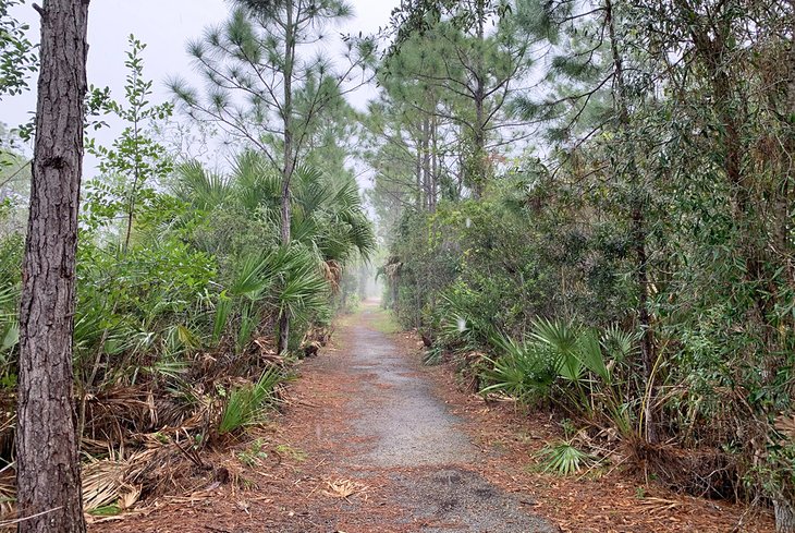 Spruce Bluff Preserve