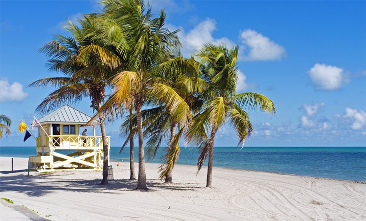 Crandon Park Beach in Miami