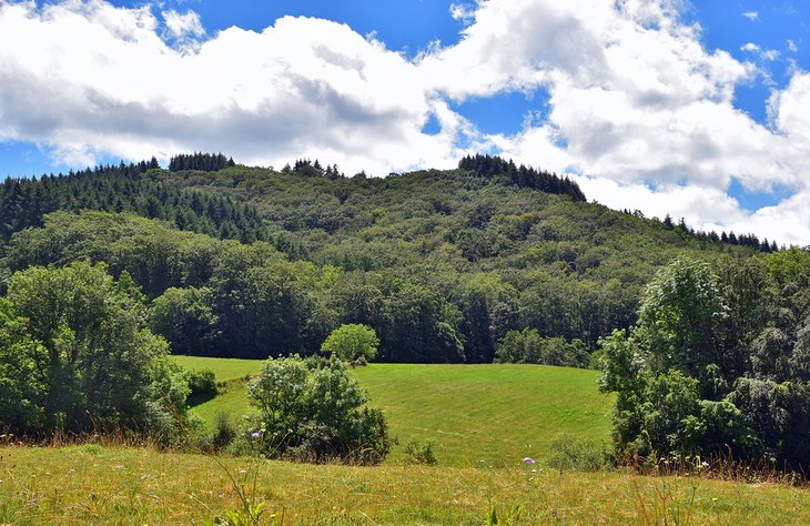 Parc Naturel Régional du Livradois-Forez