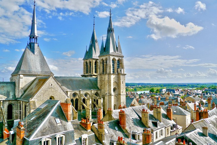 Cathédrale Saint-Louis