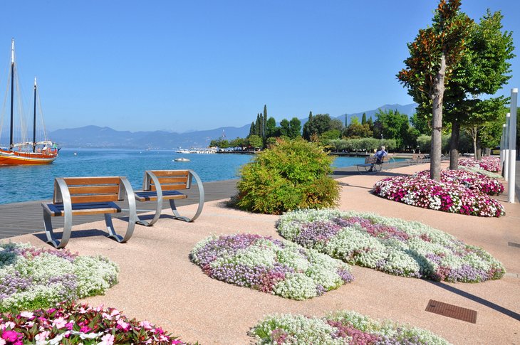 Flowers blooming in Bardolino