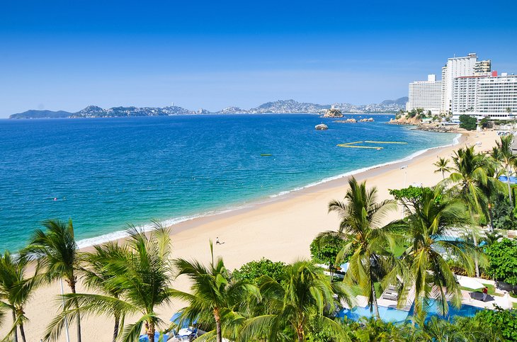 Palm-lined beach in Acapulco