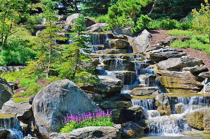 Frederik Meijer Gardens and Sculpture Park