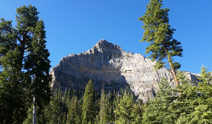 Mount Charleston