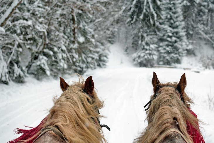 Winter sleigh ride