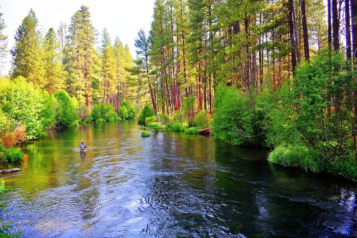 Fly Fishing the Metolius River