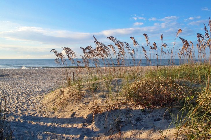 12 playas mejor valoradas en Carolina del Sur