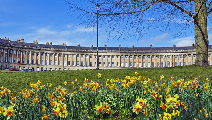 Flowers blooming in front of the Royal Crescent