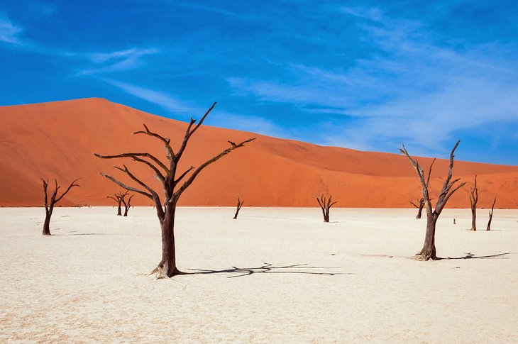 Deadvlei, Sossusvlei, Namib-Naukluft National Park