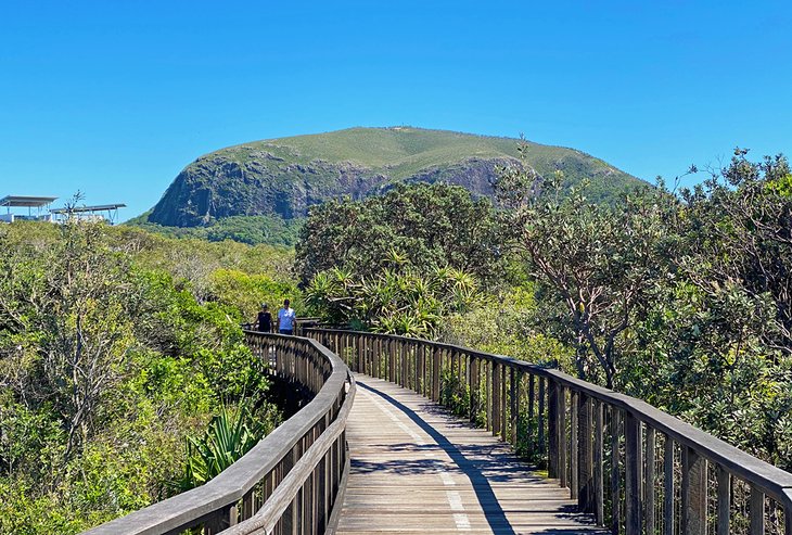 View of Mount Coolum from The Boardwalk