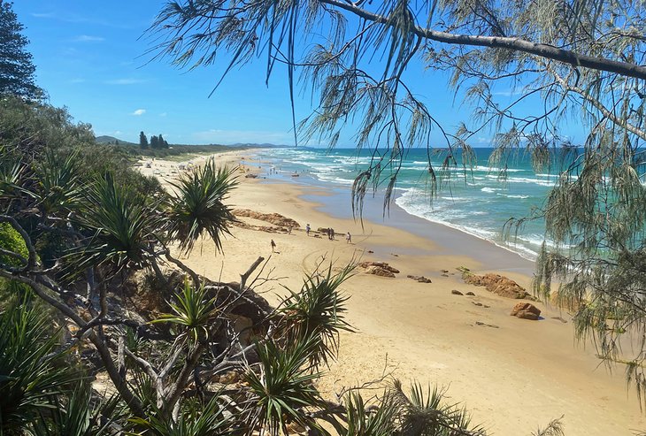 View of Coolum Beach from the Point Arkwright Trail