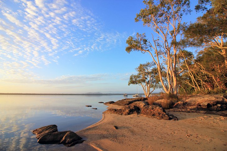 9 mejores campamentos y parques de caravanas en Noosa