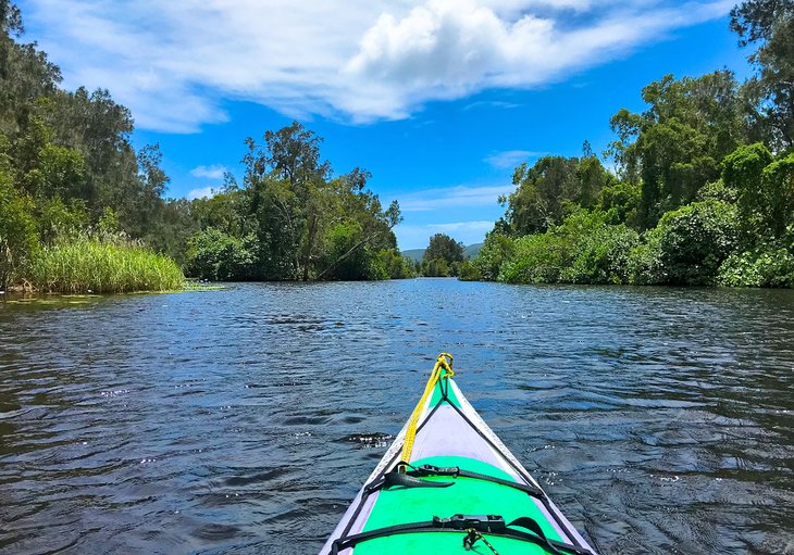 9 mejores campamentos y parques de caravanas en Noosa