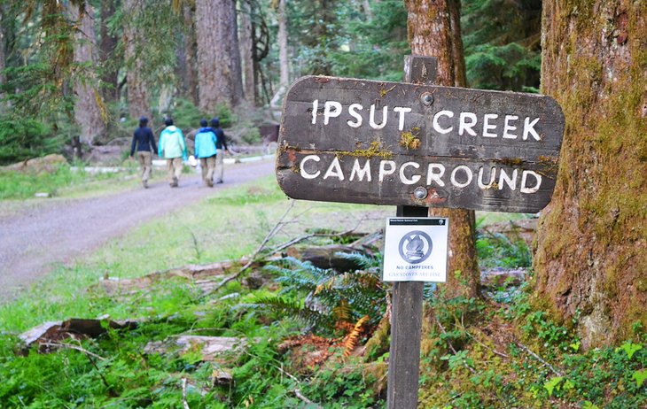 Ipsut Creek Campground sign, Mount Rainier National Park