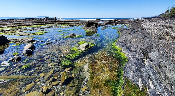 Botany Bay, Port Renfrew