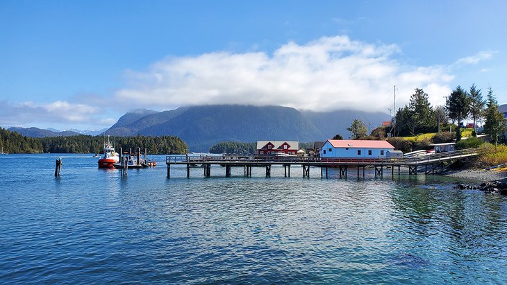 Waterfront in the town of Tofino