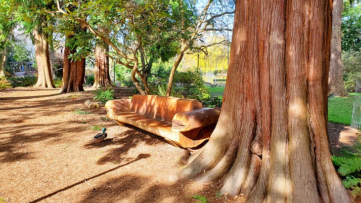 Bench and trees in Beacon Hill Park