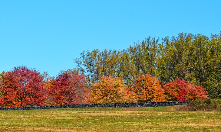 Otoño en Brandywine Creek State Park