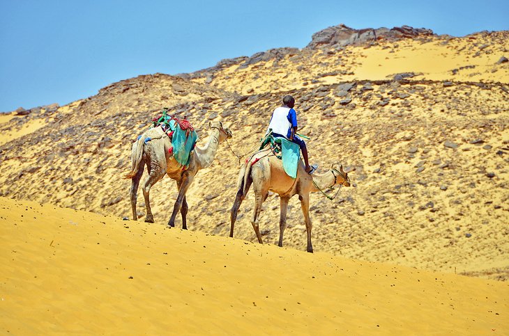 Camel-trekking to the Monastery of St. Simeon