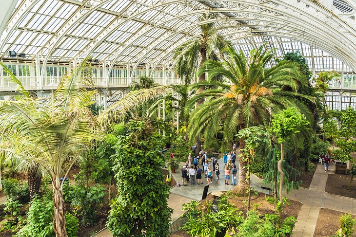 The Palm House