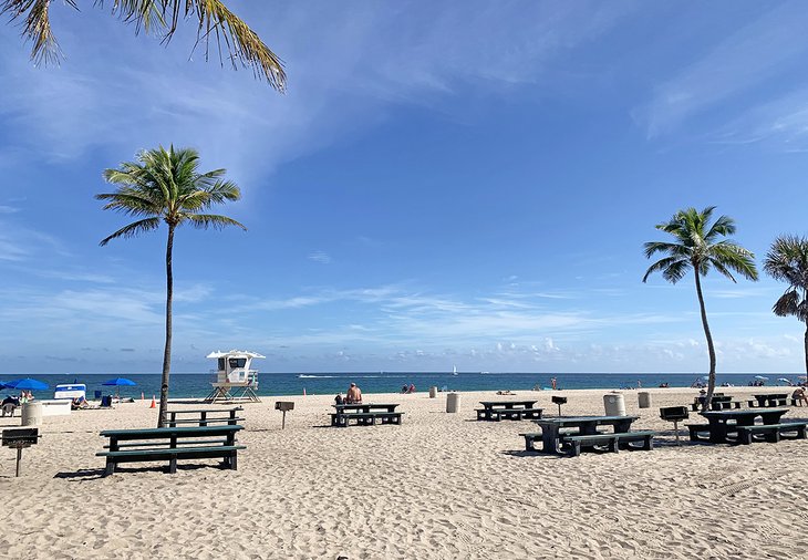 Picnic tables at Fort Lauderdale Beach Park