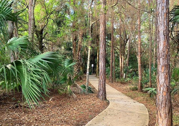Tall pines and palms provide plenty of shade in this Natural Area.
