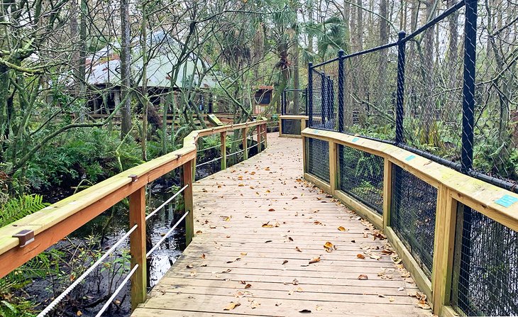 Boardwalk at Busch Wildlife Sanctuary