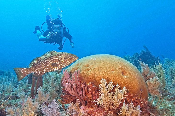 Diving off Key Largo