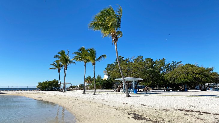 Parque Harry Harris