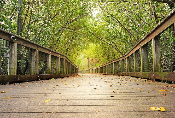 Riverwalk Boardwalk at Veterans Park in Port St Lucie