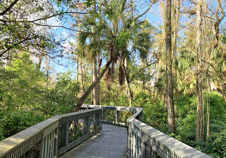 The long boardwalk at Tall Cypress Natural Area