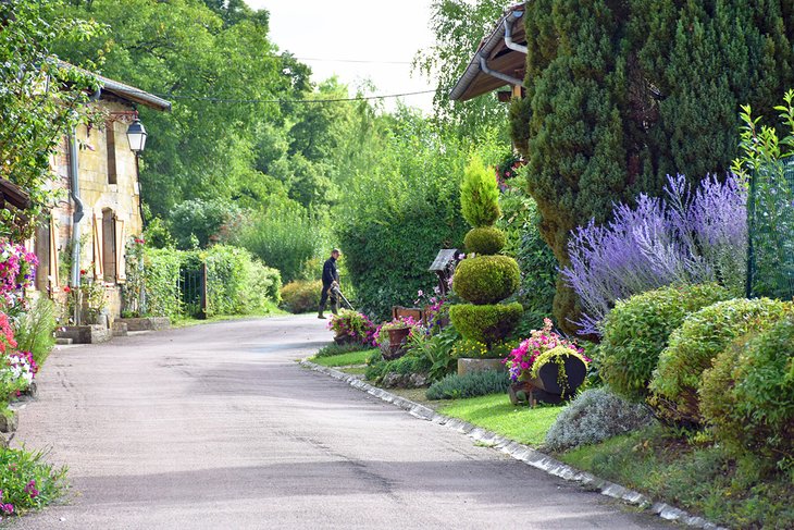 Las 20 mejores atracciones y lugares para saludar en Champagne