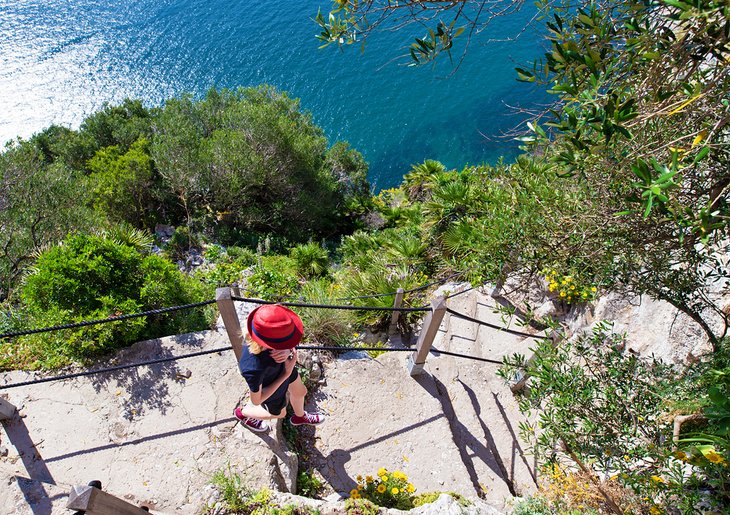 The Mediterranean Steps