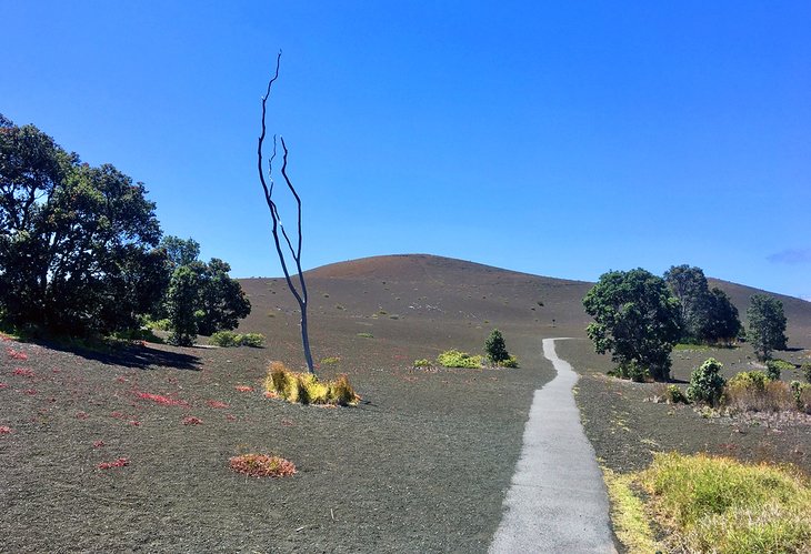 Devastation Trail