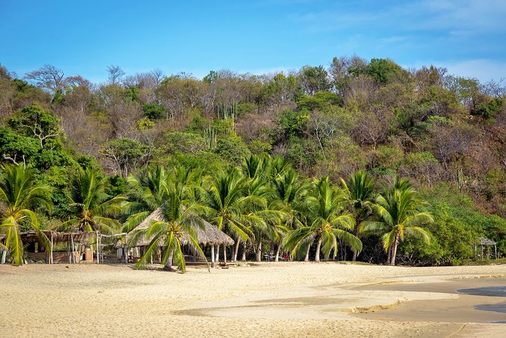 Barra de La Cruz