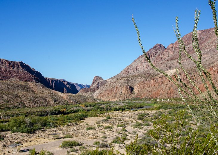 Scenery along the River Road