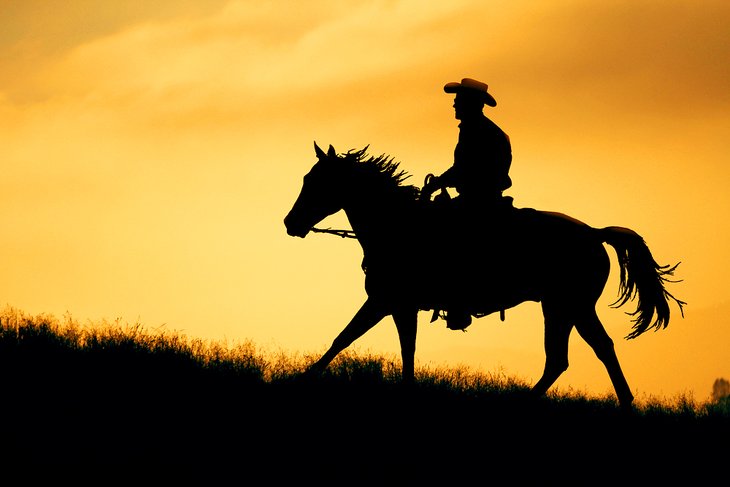 Horseback riding at sunset