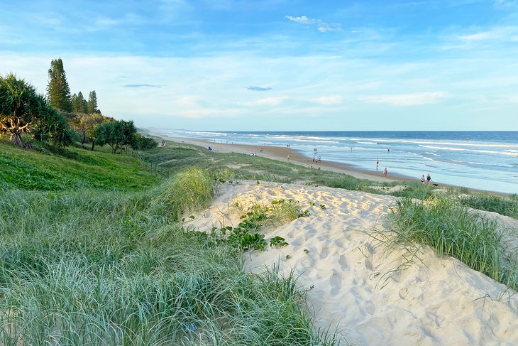 Sand dunes bordering Coolum Beach Holiday Park