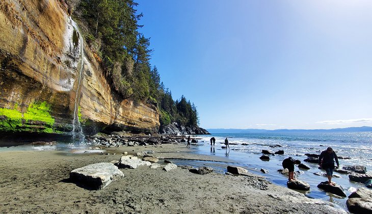 10 Top-Rated Hiking Trails on Vancouver Island, BC | PlanetWare