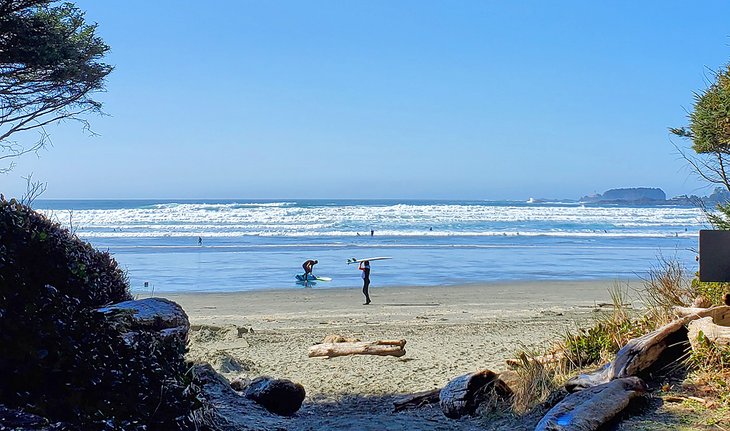 View of the beach from Surf Grove Campground