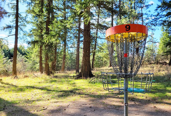 Disc golf hole at Farragut State Park