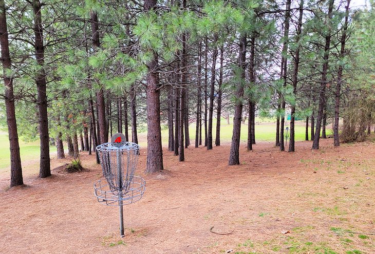 Cherry Hill disc golf course