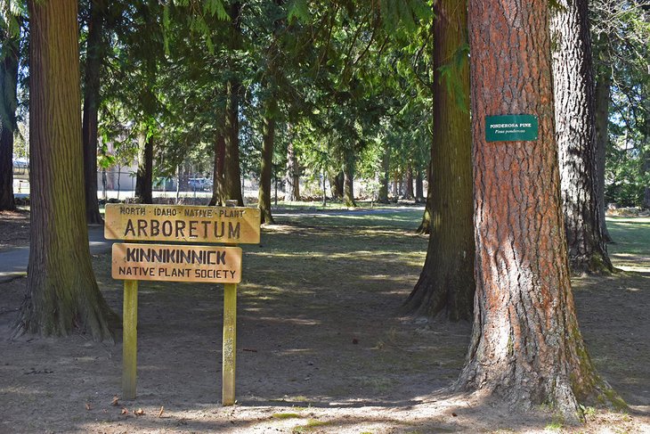 Native Plant Arboretum at Lakeview Park