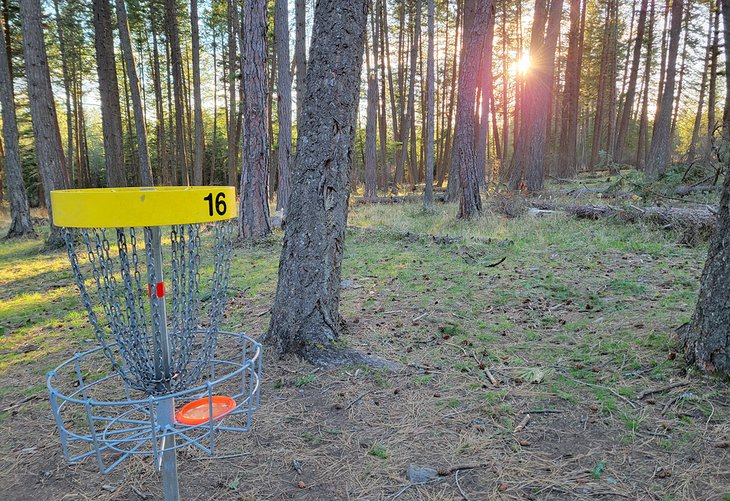 Disc golf course at Farragut State Park