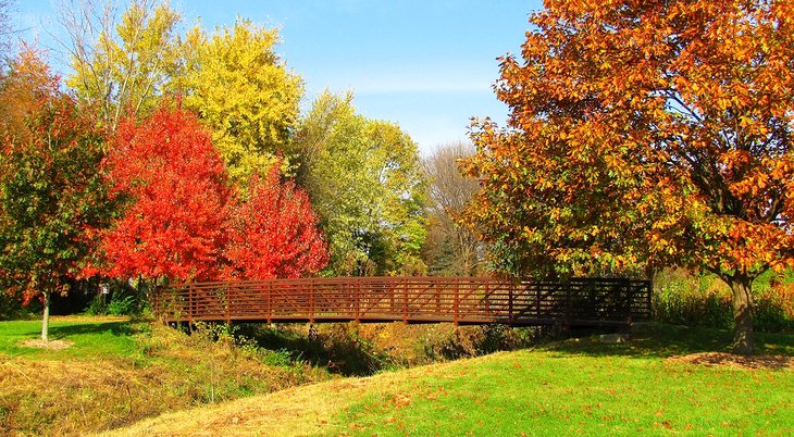 Fall colors in Iowa