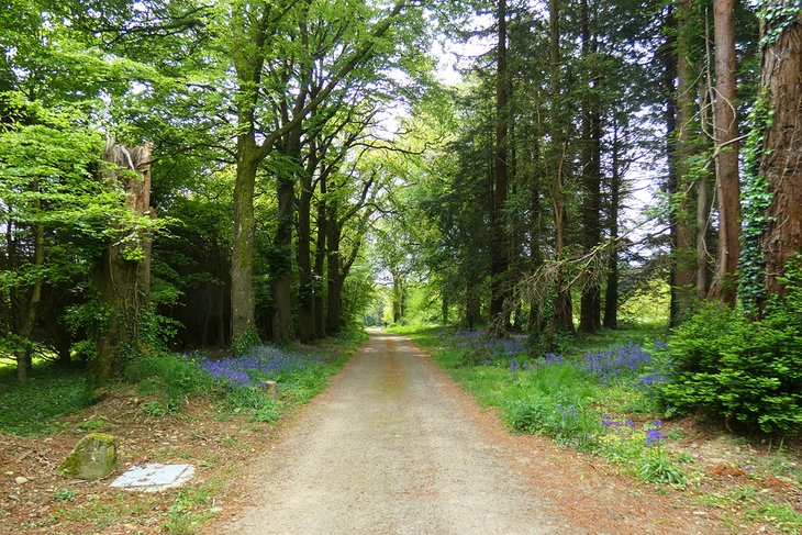 John F. Kennedy Arboretum, New Ross