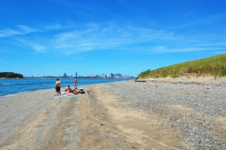 The beach on Spectacle Island