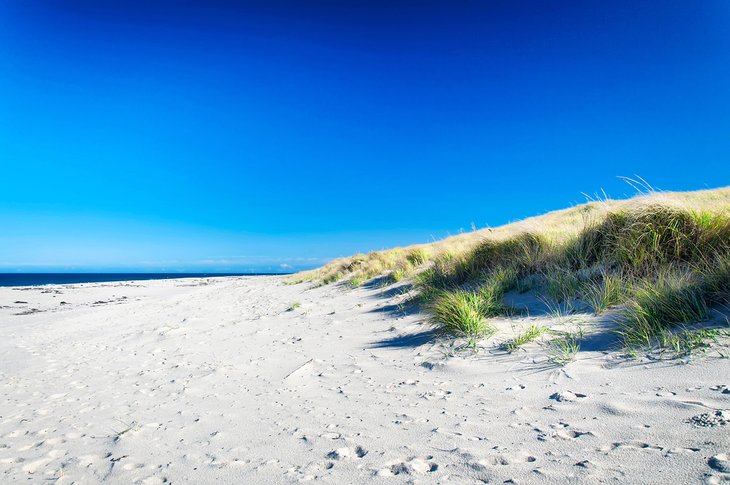 Race Point Beach